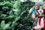 Christmas_tree