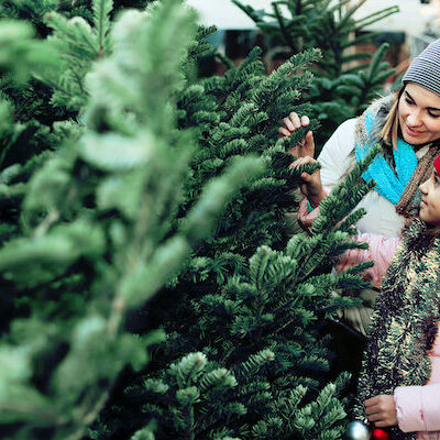 Christmas_tree