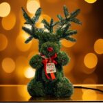 Rudolphlefteris