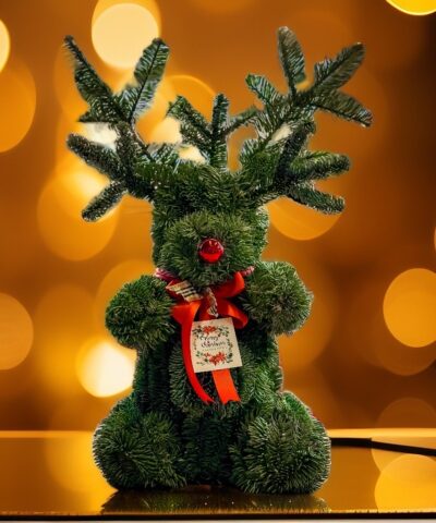 Rudolphlefteris