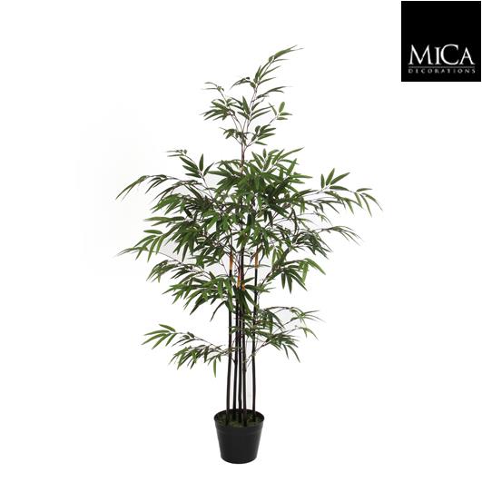 Bamboo_green_120