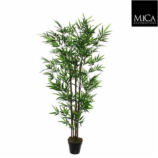 Bamboo_h155xd90