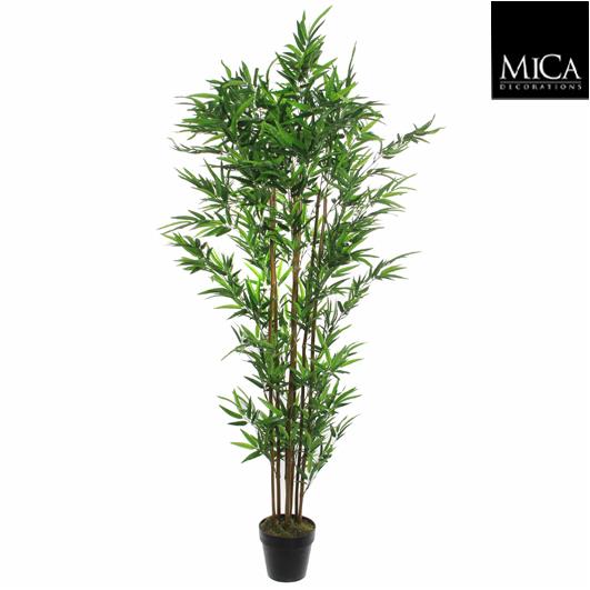 Bamboo_180x60cm