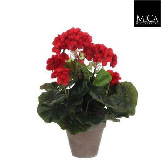 Geranium_red