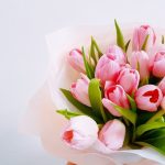 tulip-bouquet_lefteris