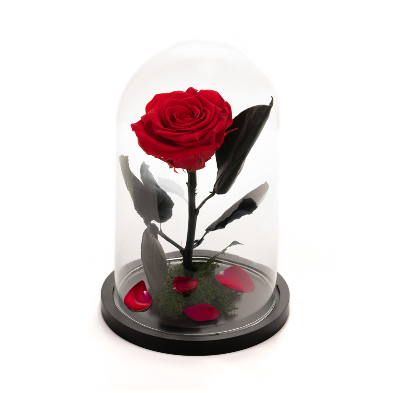 forever_rose_25