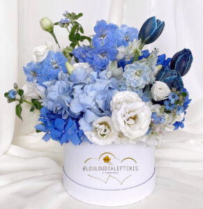 flowerbox_boy