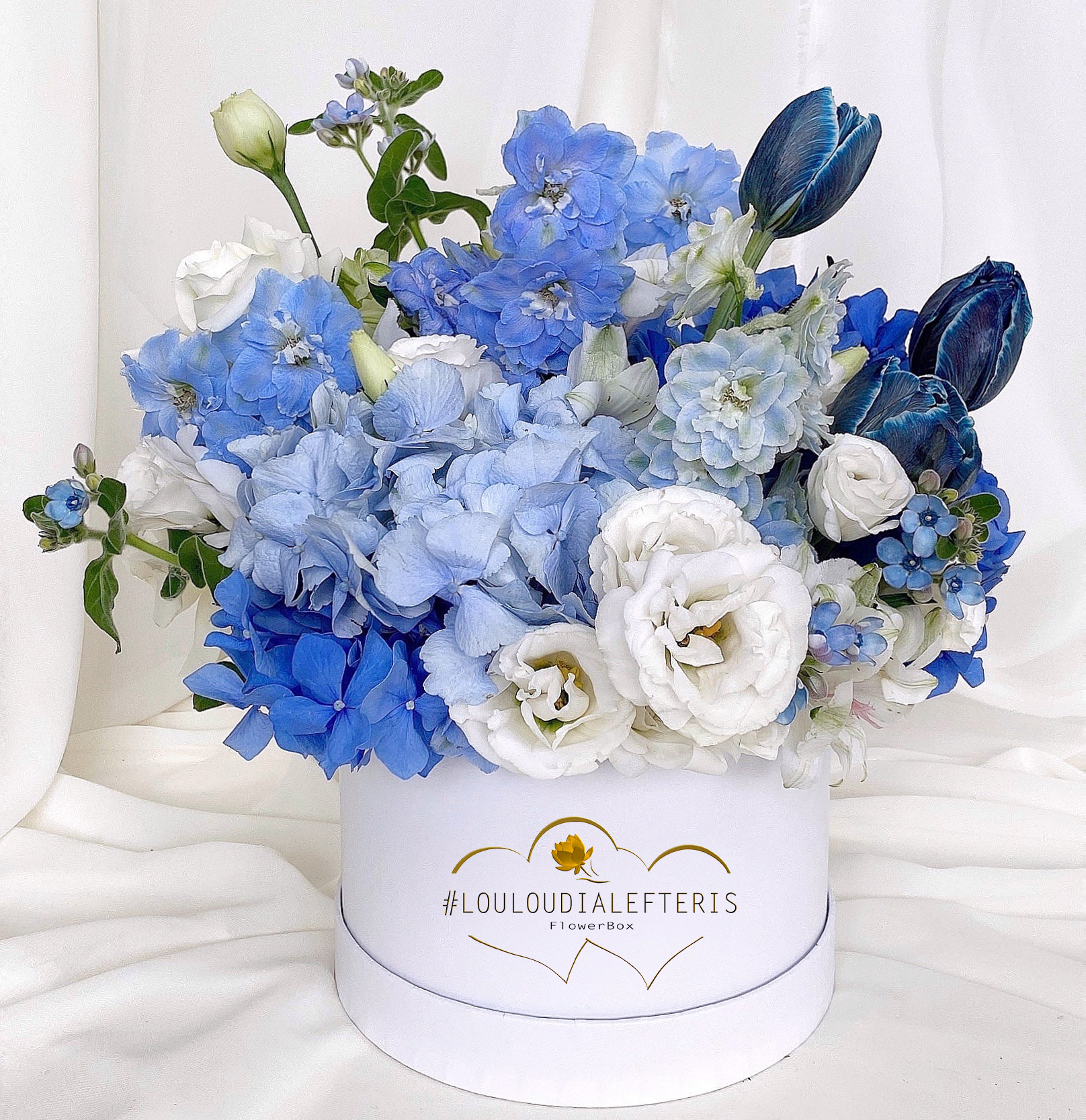 flowerbox_boy